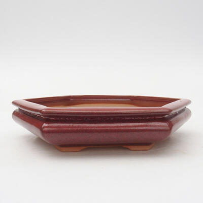 Keramik-Bonsaischale 19,5 x 17 x 3,5 cm, Weinfarbe - 1