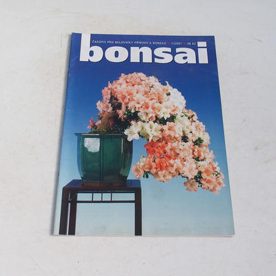 Bonsai-Zeitschrift - CBA 2001-1