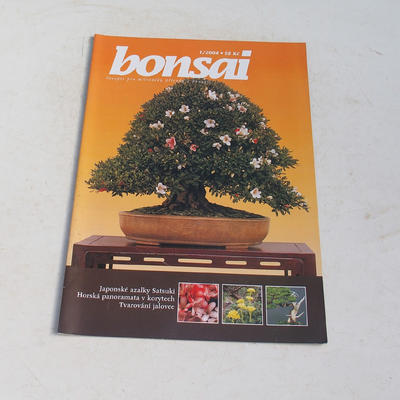 Bonsai Magazin - CBA 2004-1