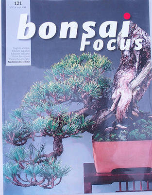 Bonsai-Fokus - Niederländisch Nr.121 - 1