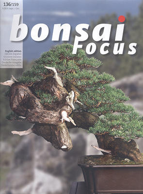 Bonsai-Fokus Nr. 136 - 1