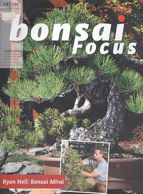 Bonsai-Fokus Nr. 141 - 1