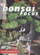 Bonsai-Fokus Nr. 141 - 1/4