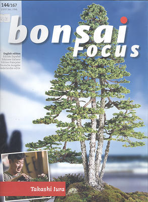 Bonsai-Fokus Nr. 144 - 1