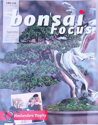 Bonsai-Schwerpunkt - Englisch Nr.145 - 1