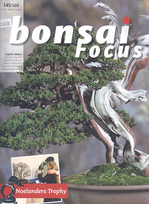 Bonsai-Fokus Nr. 145 - 1