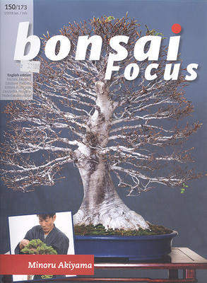 Bonsai Fokus Nr. 150 - 1