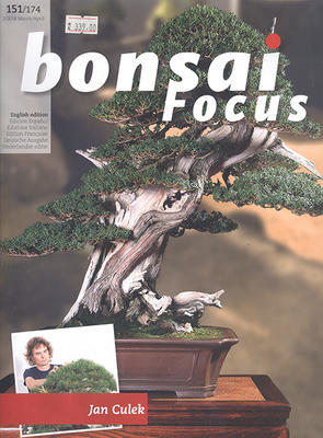 Bonsai-Fokus Nr. 151 - 1