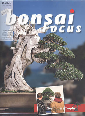 Bonsai-Fokus Nr. 152 - 1
