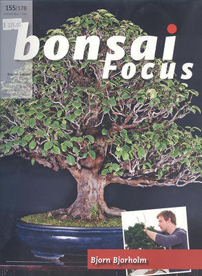 Bonsai-Fokus Nr. 155 - 1