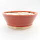Keramik Bonsai Schüssel 10 x 10 x 4 cm, Ziegelfarbe - 1/3