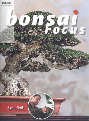 Bonsai-Fokus Nr. 165 - 1