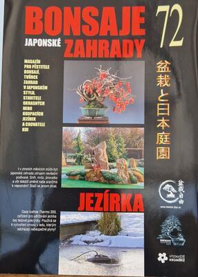 Bonsai und japanische Gärten Nr.72 - 1