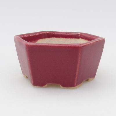 Mini-Bonsai-Schale 5,5 x 5 x 2 cm, burgunderfarben - 1
