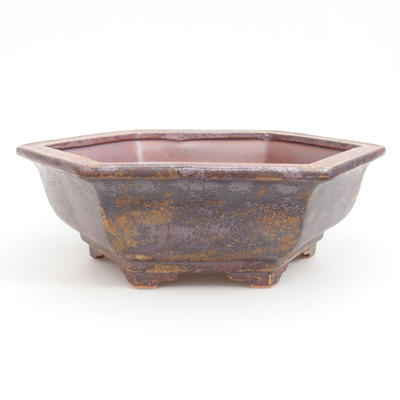 Keramik Bonsai Schüssel 24 x 21,5 x 8 cm, braune Farbe - 1