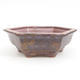 Keramik Bonsai Schüssel 24 x 21,5 x 8 cm, braune Farbe - 1/4