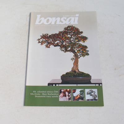 Bonsai-Zeitschrift - CBA 2004-3