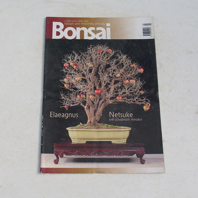 Bonsai-Zeitschrift - CBA 2009-3