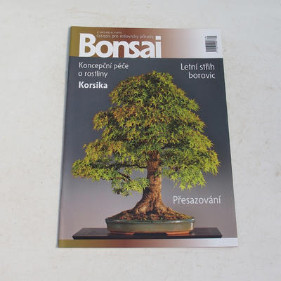Bonsai-Zeitschrift - CBA 2013-3
