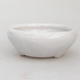 Keramik Bonsai Schüssel 11 x 11 x 4 cm, Krebse Farbe - 2. Qualität - 1/4