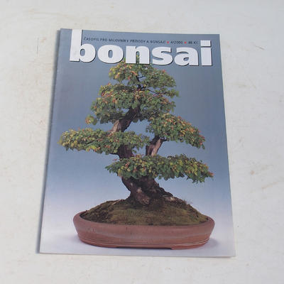 Bonsai-Zeitschrift - CBA 2000-4