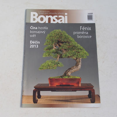 Bonsai-Magazin - CBA 2013-4