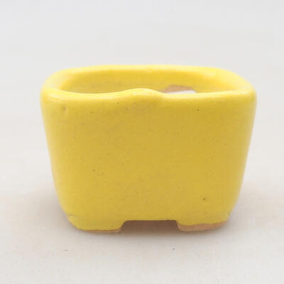 Mini Bonsai Schüssel 3,5 x 3,5 x 2,5 cm, gelbe Farbe - 1