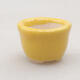Mini Bonsai Schüssel 2 x 2 x 1,5 cm, Farbe gelb - 1/3