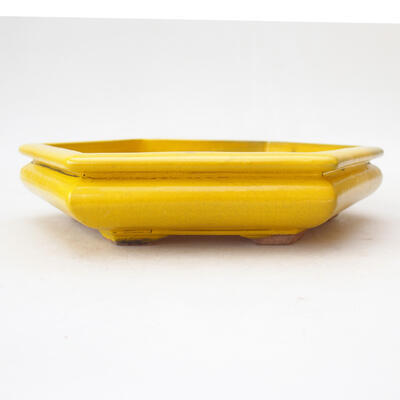 Bonsaischale aus Keramik 19 x 16,5 x 4 cm, Farbe gelb - 1