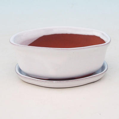 Bonsai Schale Tablett mit Wasser H05 +, weiß - 1