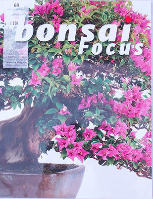 Bonsai-Schwerpunkt - Deutsch Nr.68 - 1