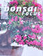 Bonsai-Schwerpunkt - Deutsch Nr.68 - 1/7