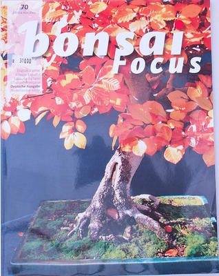 Bonsai-Schwerpunkt - deutsch - 1