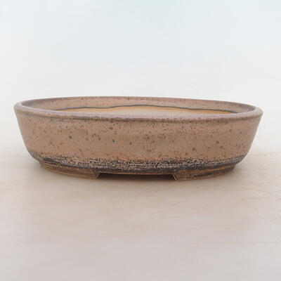 Bonsai-Schale 23,5 x 18,5 x 5,5 cm, grau-beige Farbe - 1