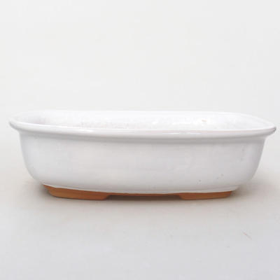 Bonsaischale aus Keramik H 08 - 24,5 x 18 x 7 cm, Weiß - 1