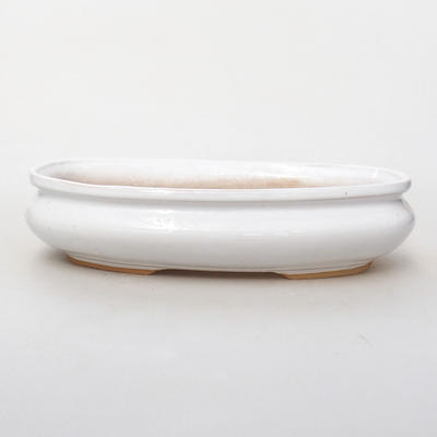 Bonsaischale aus Keramik H 15 - 26,5 x 17 x 6 cm, Weiß - 1