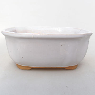 Bonsaischale aus Keramik H 31 - 14,5 x 12,5 x 6 cm, Weiß - 1