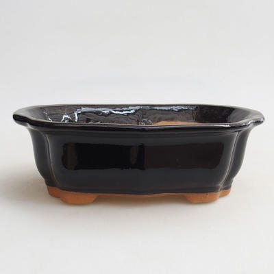 Ceramic bonsai bowl H 51 - 17.5 x 13.5 x 5.5 cm, black glossy - 1