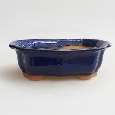 Ceramic bonsai bowl H 51 - 17.5 x 13.5 x 5.5 cm, blue - 1