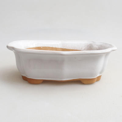 Ceramic bonsai bowl H 51 - 17.5 x 13.5 x 5.5 cm, white - 1