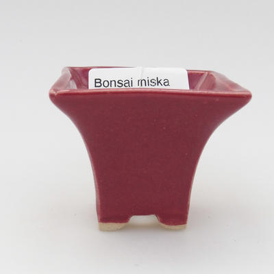 Mini Bonsai Schüssel - 1