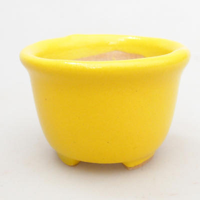 Mini Bonsai Schüssel 4 x 4 x 3 cm, gelbe Farbe - 1