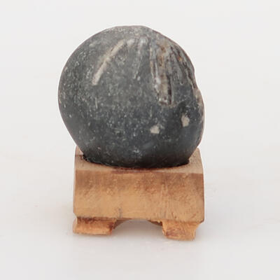 Suiseki - Stein mit DAI (Holzunterlage) - 1