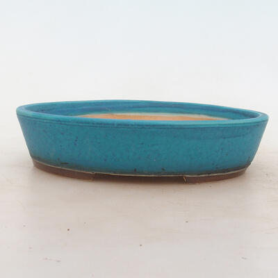 Bonsai-Schale 20 x 15 x 4,5 cm, Farbe blau - 1