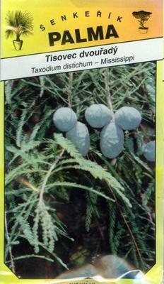 Kahlen Zypresse - Taxodium distichum