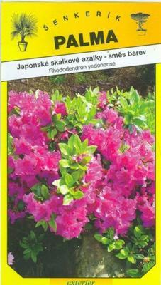 Japanische Azaleen Steingarten - Rhododendron yedonense