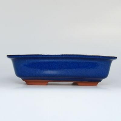 Bonsaischale aus Keramik H 02 - 19 x 13,5 x 5 cm, blau - 19 x 13,5 x 5 cm - 1