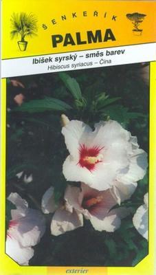 Hibiscus syriacus (Mischfarben) - Hibiscus syriacus