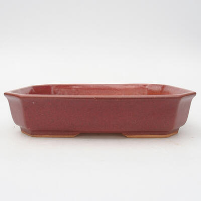 Keramik-Bonsaischale 19 x 14,5 x 4 cm, Weinfarbe - 1