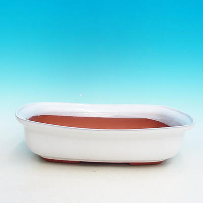 Keramik Bonsai Schüssel H 10 - 37 x 27 x 10 cm, weiß - 37 x 27 x 10 cm - 1